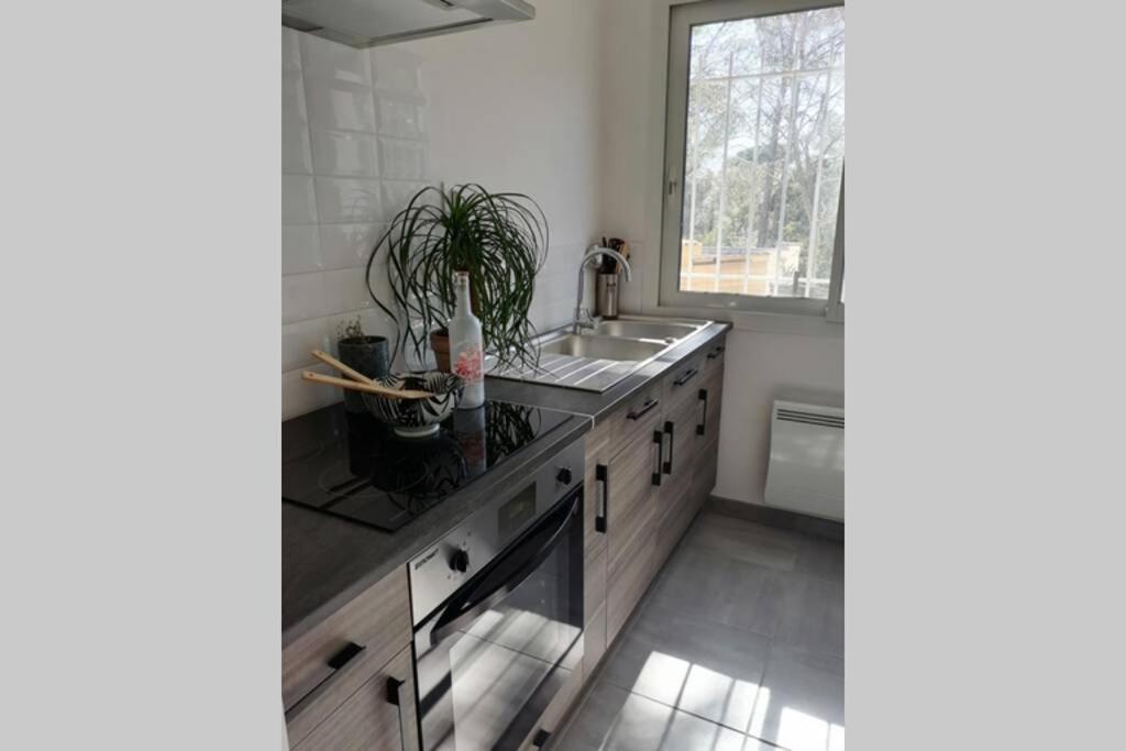 Maison 5 Personnes En Garrigue - Piscine-Spa Prive Langlade エクステリア 写真
